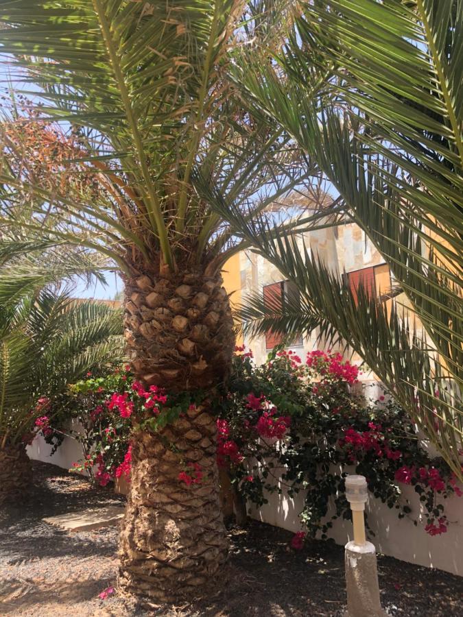 Apartamento Le Soleil De Fuerteventura Costa De Antigua Esterno foto